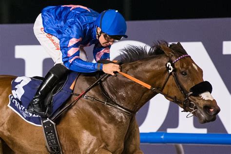 meydan race card today.